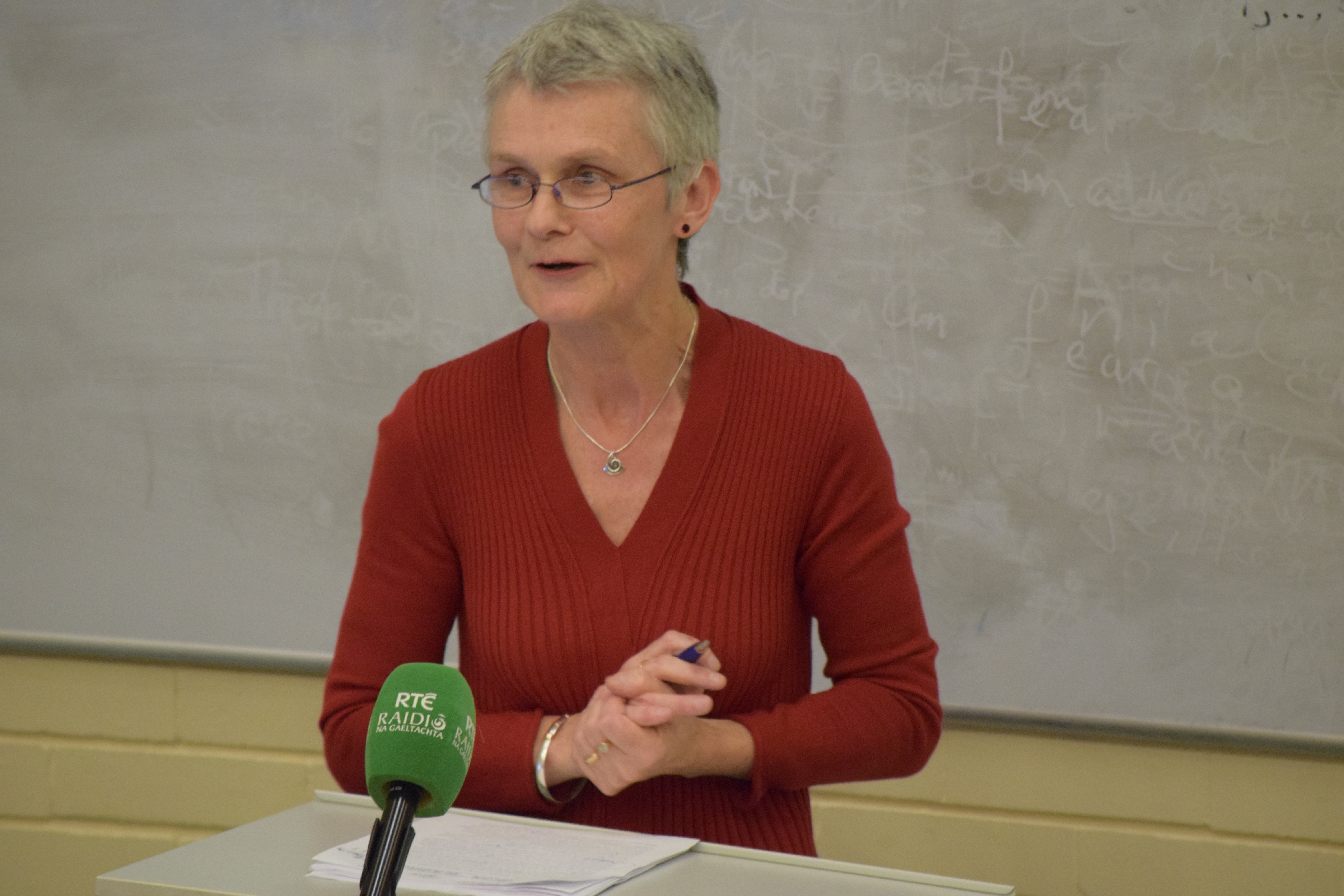 An tOllamh Máirín Nic Eoin i mbun léacht na bliana 2017